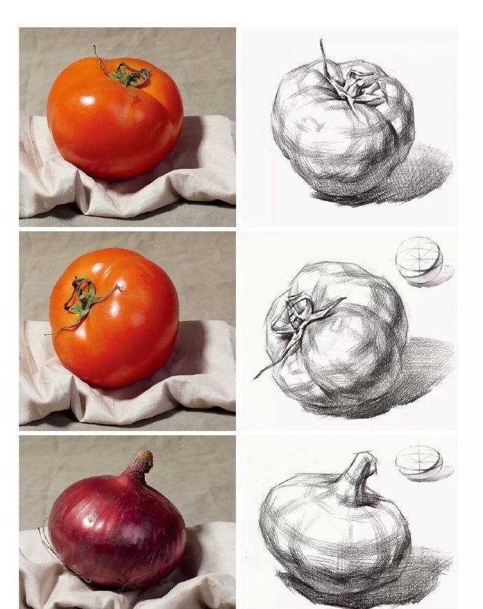 水果静物素描西红柿结构分析
