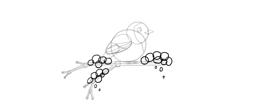 教你画一只站在树枝上的知更鸟简笔画